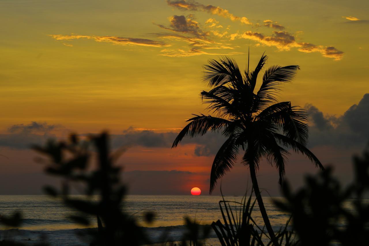 Top Secret Beach Hotel Matara Bagian luar foto